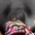 Mario Luigi Wario Waluigi Dies From The ВИD Apparition In Super Mario 64 DS MP3 13