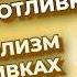 Отливки воском Как трактовать диагностические отливки Символизм в отливках