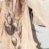Doechii Boho Chić Look Chloé PFW25 Show Doechii Fashionpolice Chloe Pfw Pfw2025 Paris Pfw25