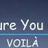 VOILÀ Figure You Out