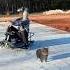 THE OIIA OIIA SPINNING CAT BATTLE