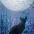 Night City