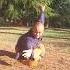 Shaolin Luohan Quan Shaolin Kungfu