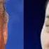 The Most Unadulterated Bribery Of A President You Have Ever Seen