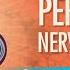 Peripheral Nervous System Crash Course Anatomy Physiology 12