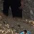 Massoud S Exciting Pursuit Of Mother Escape With Brothers And Return Home