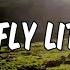 Lyric Fly Little Bird By Kyle Dion