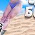 I Will GIVE MONEY On The BEACH To Whoever Does The MOST PULL UPS
