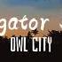 Alligator Sky Owl City Feat Shawn Chrystopher Lyrics