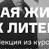 Новая жизнь русских литераторов Курс Мариэтты Чудаковой Как революция изменила литературу АУДИО