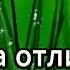 Пусть для тебя цветут цветы
