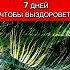 ЛУЧШАЯ АФФИРМАЦИЯ НА ЗДОРОВЬЕ аффирмации здоровье силаслов визуализация
