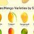 Indian Mango Varieties By State Mango Varieties In India Types Of Mangoes Shorts Mango