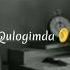 Ey Qasamxoʻr Yolgʻonmidi