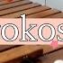 BTS Mikrokosmos Marimba Cover