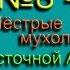 Мухоловка Пестрые мухоловки Юго Восточной Азии Голоса птиц