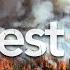 Forest Fire Sound Effect Copyright Free