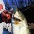 Why You Need Both The Rapala Shadow Rap Shadow Rap Shad