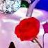 I Love AAAA