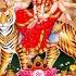 Maat Meri Jholi Bhardi