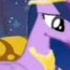 PMV STAY MLP FIM