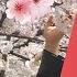 HANAMI 花見 MUST KNOW Vocabulary For Japan S Most Famous Season