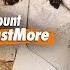 WNBA EXONERATES Indiana Fever Fans EXPOSES DEI Broadcasting Mount Bustmore Ep 936