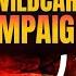 How Owaisi Become India S WildCard Campaigner