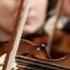 Bach Richter Brandenburg Concerto No 1 Part 1 Of 2 HD