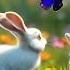 Bunny S Rainbow Rescue Colorful Counting Adventure For Kids Learning Fun