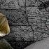 Victor Davis Hanson Strong Fathers Build Civilizations Weak Ones Lose Them