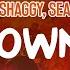 Spice Shaggy Sean Paul Go Down Deh Lyric Video