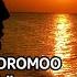Zikrii Afaan Oromoo