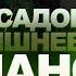 Трамп і зброя чому США відмовляють Україні