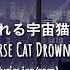 Universe Cat Drowning 溺れる宇宙猫 Lyrics Jap Rom