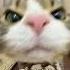 乙游最好惹的男主是谁 好难猜啊 乙游 恋与深空 游戏 祁煜 二次元