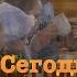 Сегодня дети завтра народ Документальный фильм 2022 г