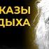 Лучшие рассказы Дафны Дю Морье Никита Король Лучшие Аудиокниги Классика