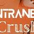 Intranet Crush Willix Hiraeth Futuristic No Copyright Music Avr AniVortex Anime Songs