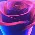 Bette Midler The Rose Marco Jason Dance Remix 2025
