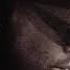 Nas Premier Magic DJ Premier And Nas Remix Album