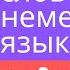 100 слов немецкого языка за 8 минут часть 1