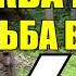 ДВА БРАТА В ТАЙГЕ ТАЕЖНЫЙ ТУПИК КЛЮКВА НА ДВОИХ СУДЬБА ЧЕЛОВЕКА 6 из 6