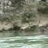 Hozu Gawa River Boat Ride