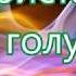 На Христа ты как голубь сошел на Троицу