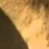 Yannick Noah Les Lionnes Avi