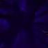 Rednex Cotton Eye Joe Nightcore