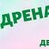 Адреналин Тревожности Гормоны Как избавиться от страхов Медитация Тетахилинг с Анастасией Лысак