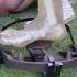 Bear Trap VS Leg