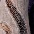 Fibric Procedural Clothing Creation Pepe Buendia Rubio Agustin Gonzalez FMX HIVE 2025